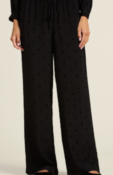 Vera Pant