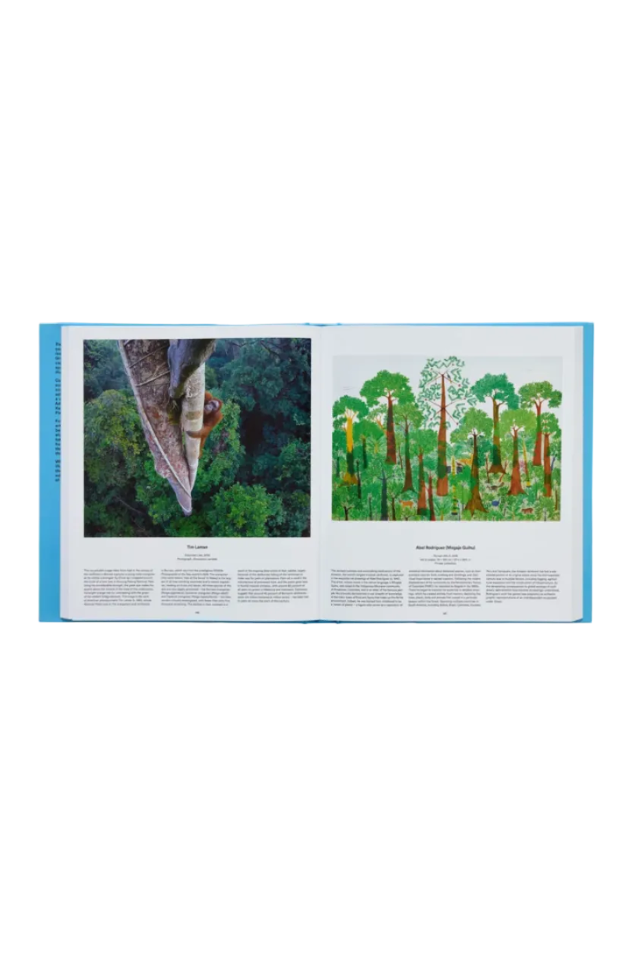 Tree: Exploring the Arboreal World, Coffee Table Book