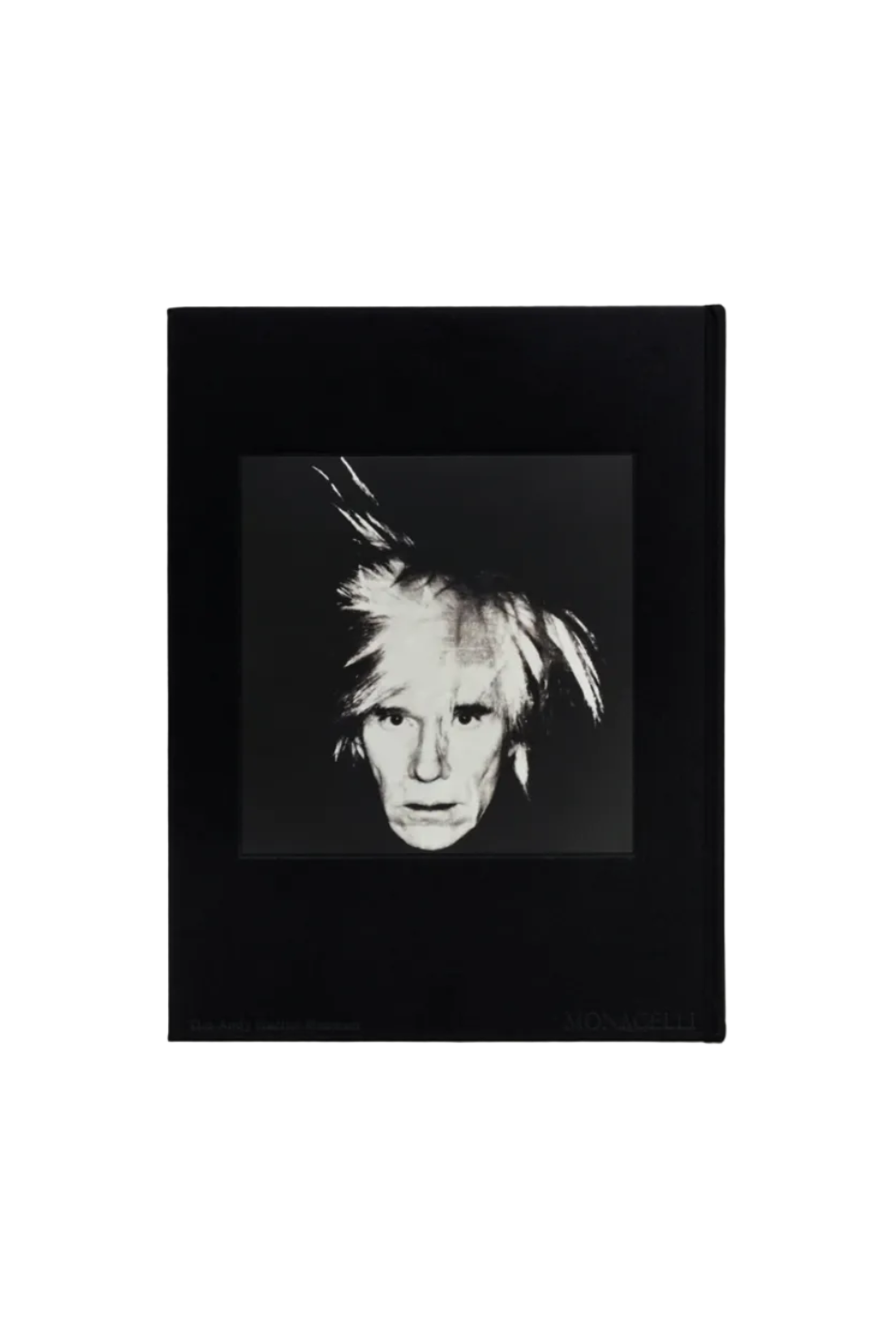 KAWS + Warhol Book