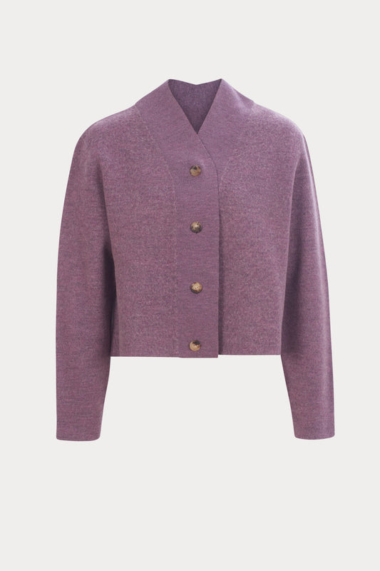 PRUNE-PLUM