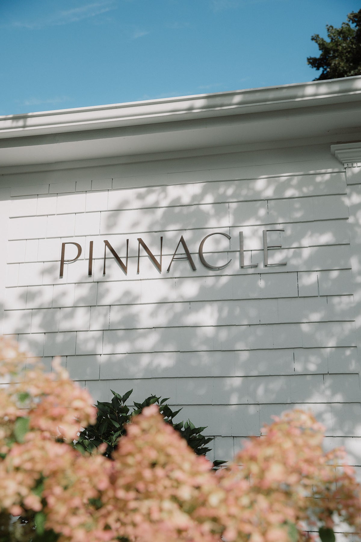 Pinaclee PINNACLE