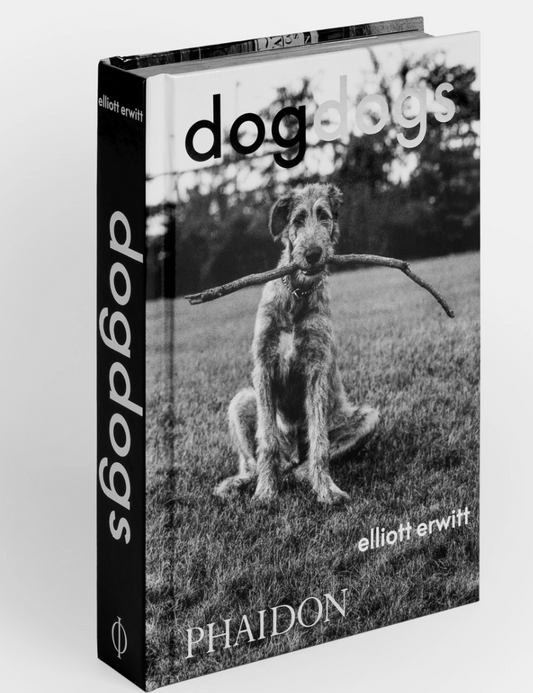 Dog Dogs