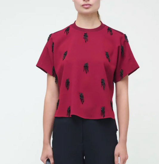 Abelia Embellished Top