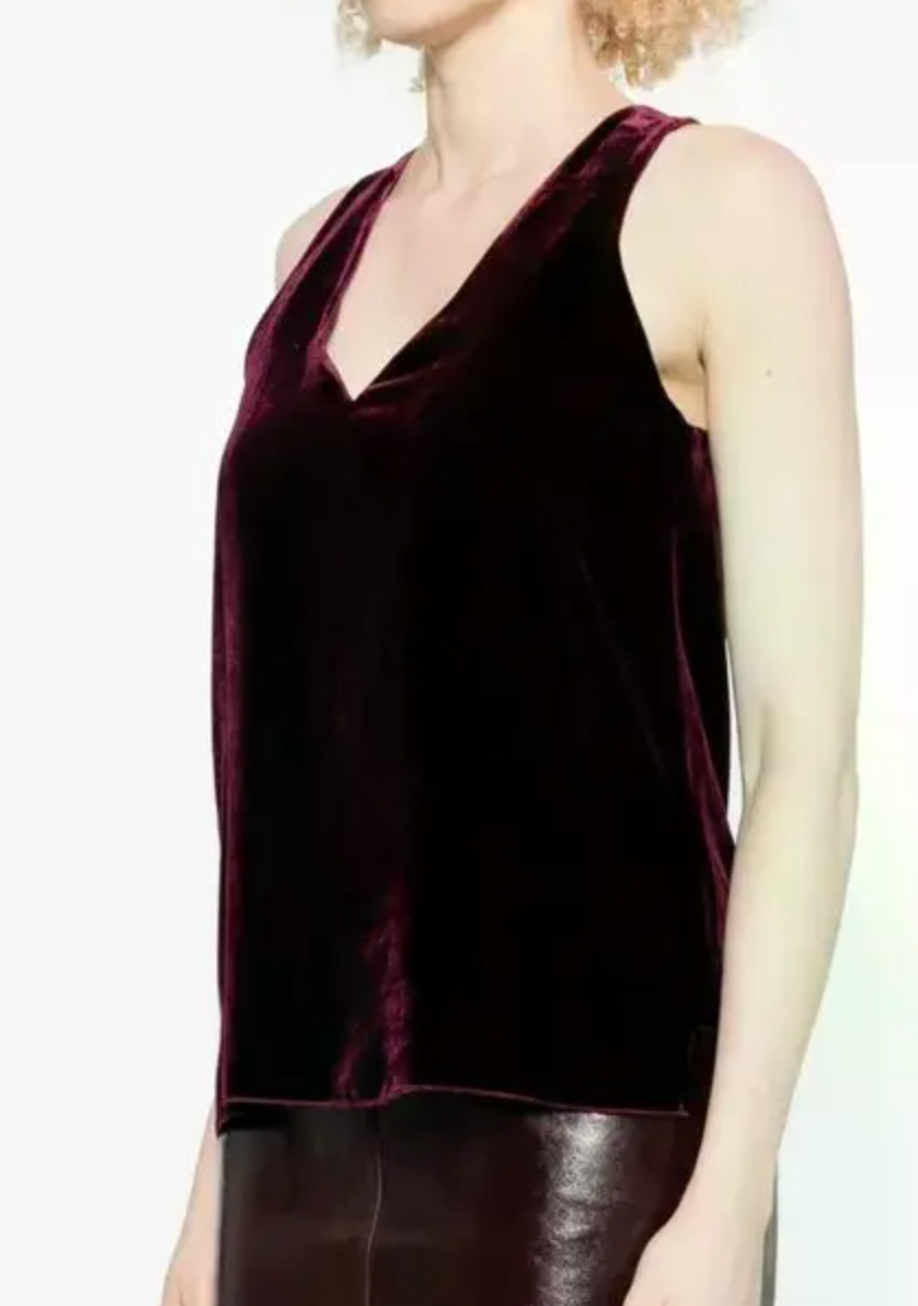 Velvet V Neck Top