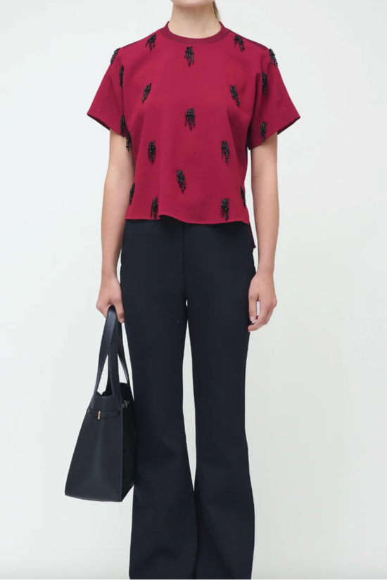 Abelia Embellished Top