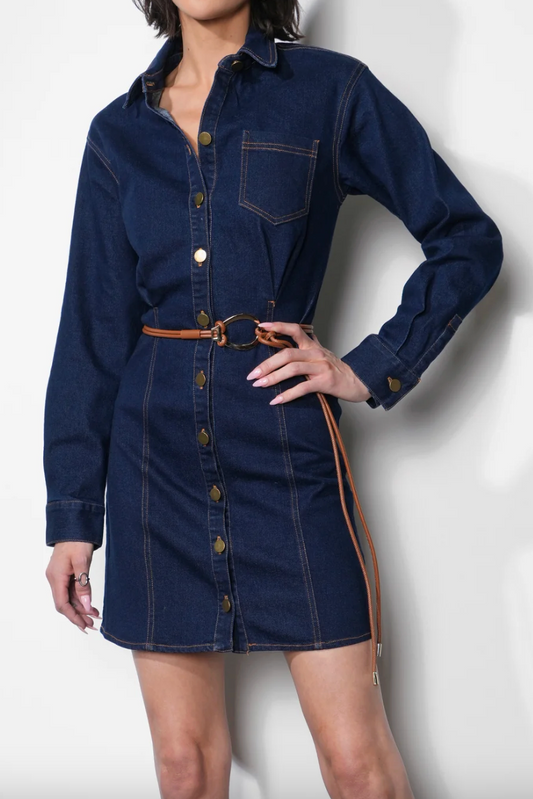 Calista Button Up Denim Dress