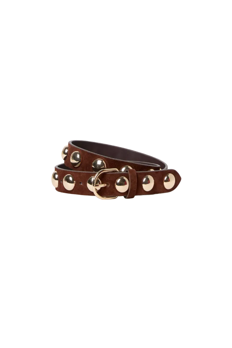 Issa Dome Studded Belt in Espresso/Champagne
