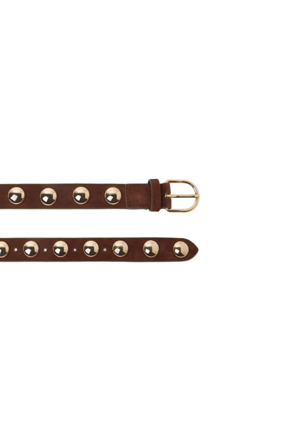 Issa Dome Studded Belt in Espresso/Champagne