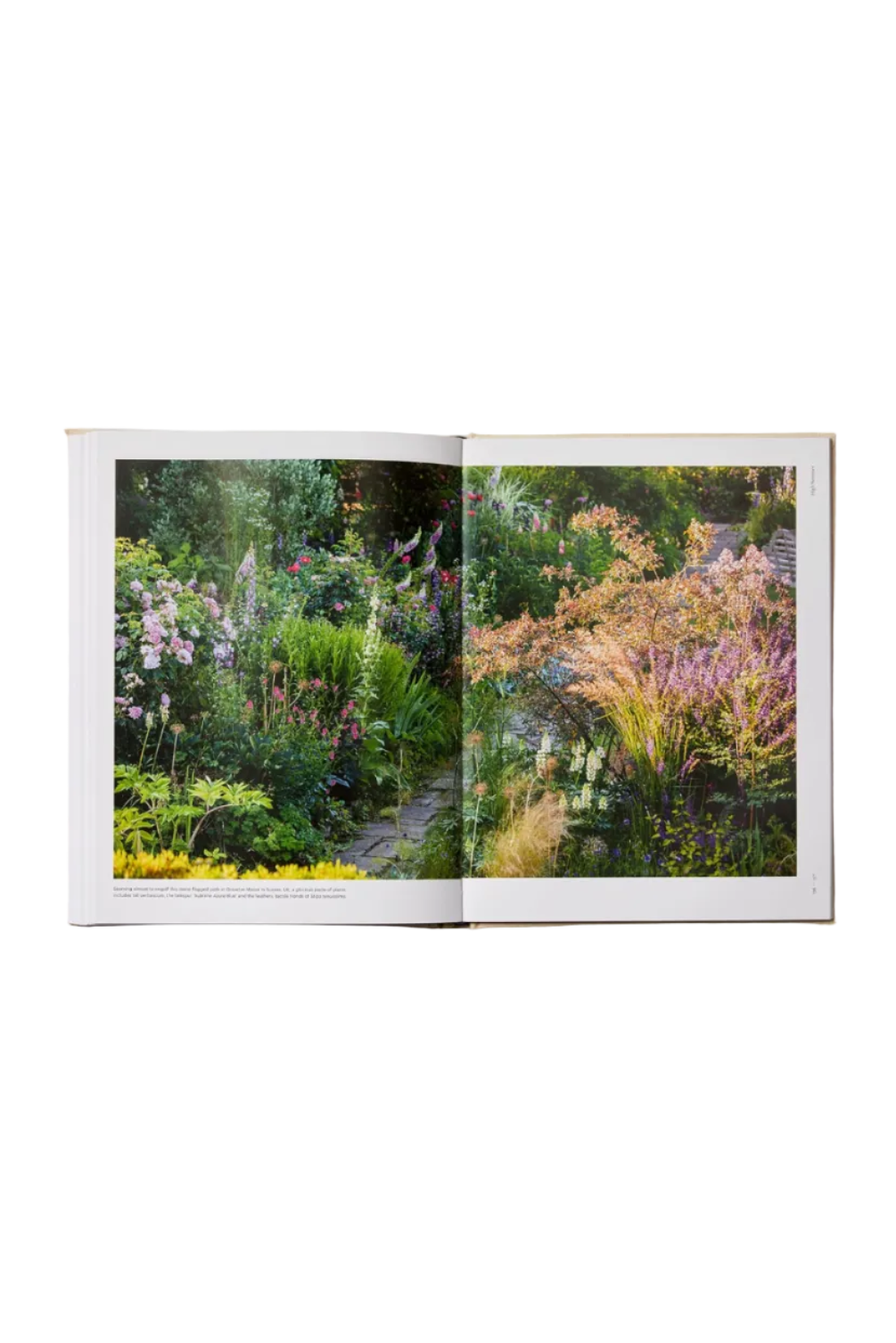 The Seasonal Gardener: Creative Planting Combinations Book