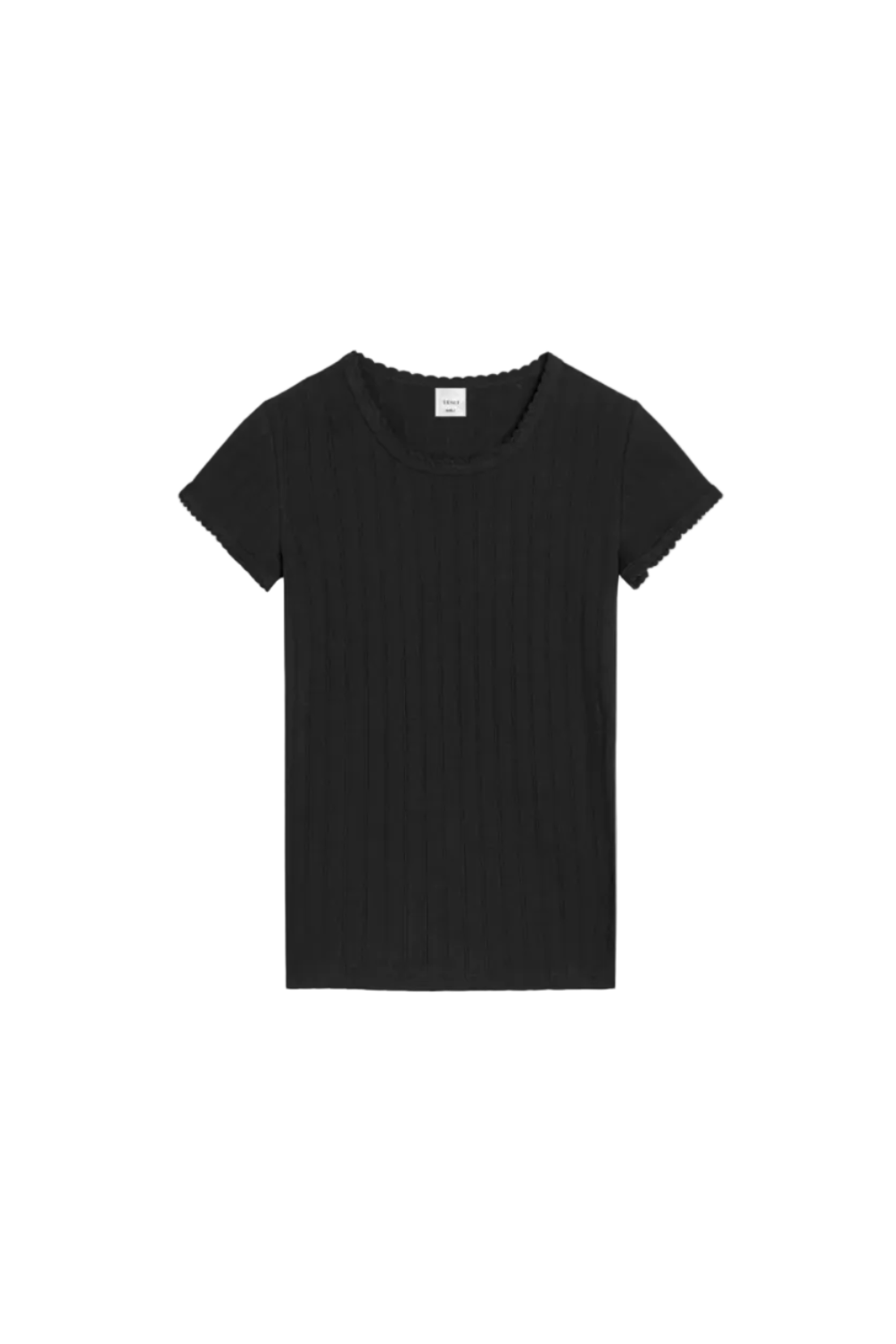 Pointelle Slim Fit Tee