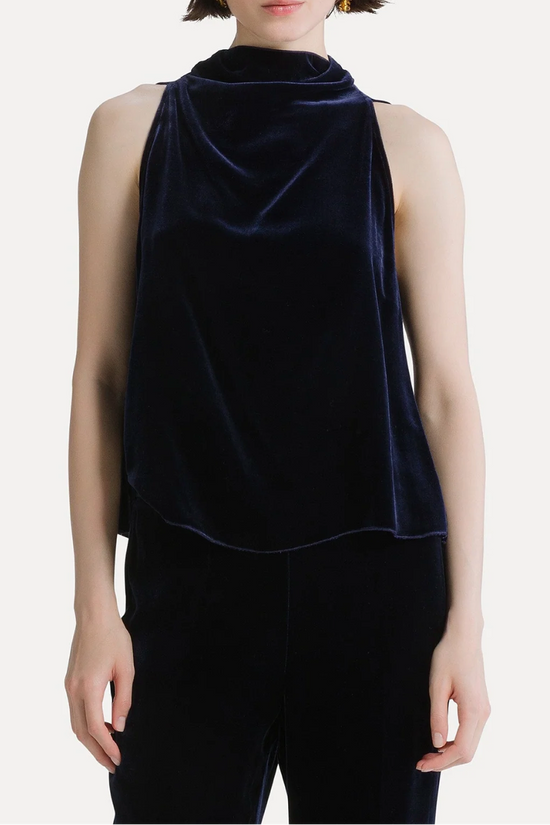 Viscose and Silk Velvet Top